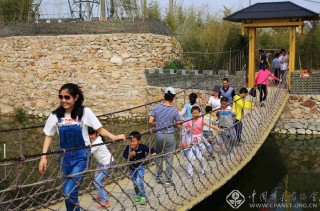 假日的海青 李尧俊