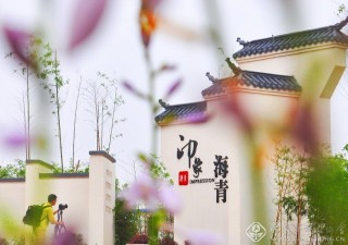 留住记忆 许蕴茹