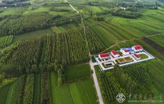 绿色农田 闫金森