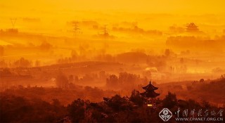 梦幻海青 纪东顺