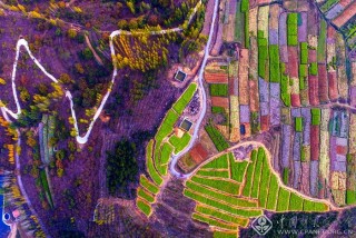 农民的画 张济平