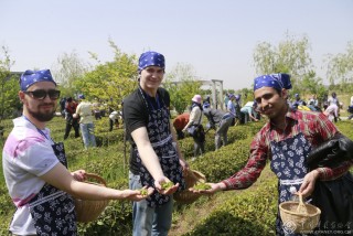 “一带一路”沿线国家留学生体验茶文化(组) 刘积舜