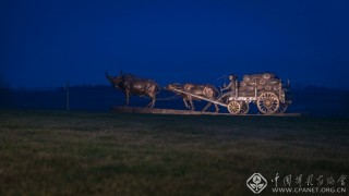 浪漫的海青之夜(组) 赵恒波