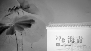 印象海青(组)  李莎