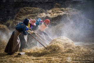陈文格-重庆-秋收时节