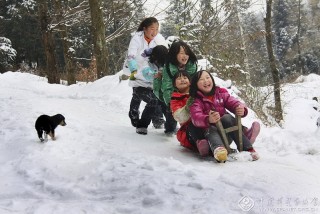 陈小林-湖北--雪乡童趣