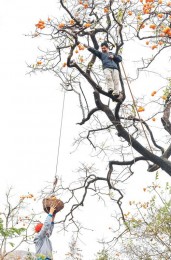 高磊-江苏--丰收