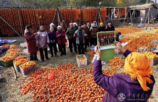 郭兵-河南--最美丽的风景