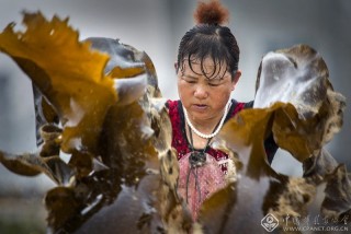 黄国明-福建--心花怒放