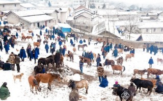 蒋文华-福建--牛市