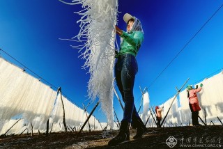 孔祥付-黑龙江-晾晒