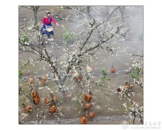 赖文达-浙江-梨园春早