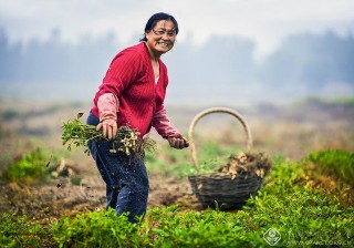 李金涛-北京-收获快乐