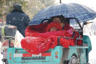 刘彬-江苏-盼孙成“凤”