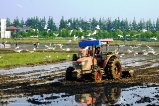 钱勇赴-上海-春之舞