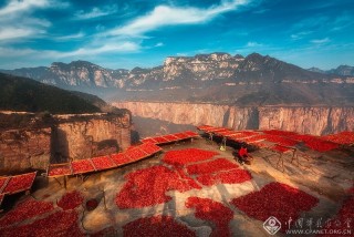 苏敏-河南--山里红了