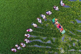 殷凯-江苏--水乡采菱乐