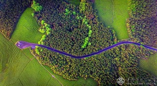 袁勇-浙江--山舞银蛇-