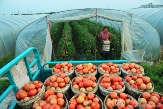 张小荣-上海--收获满满