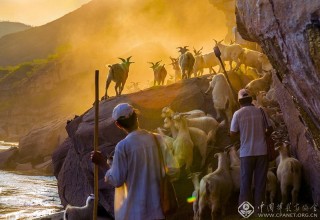 赵凯-山西--精准扶贫