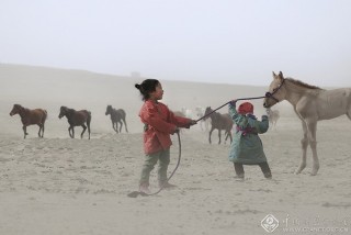 张正国-内蒙古--草原儿女
