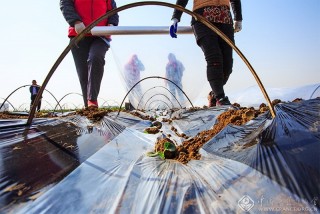 赵伟-山东--播种希望