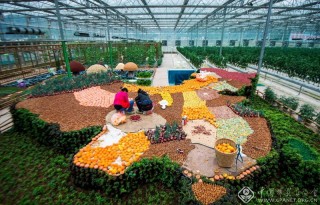 周平-四川-蔬菜地图