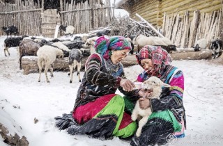 邹森-四川-呵护