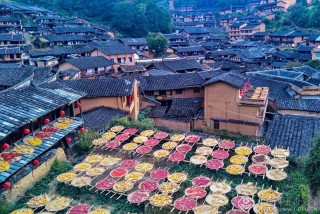 陈增玉-福建-《秋景》