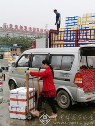 丁辉-北京-《汇聚》