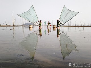 聂杭军-江苏---张网以待