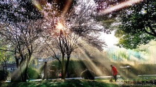 吴志远-安徽-《小区的早晨》