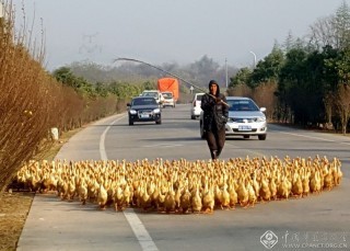 章方能-浙江-阳光大道