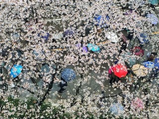 周丽仪-广东-花花世界