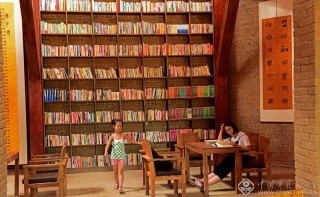 河南-白水平-老家莫沟的窑洞图书馆-醉美时光-