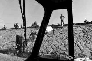 江平-浙江—--赶潮人6