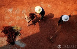 刘学懿-四川--3121-204229-晒秋1-