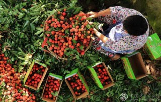 刘学懿-四川--3121-204233-晒秋3-