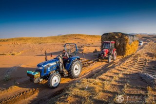 马德-宁夏--降服沙魔-1