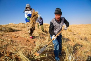 马德-宁夏-降服沙魔3