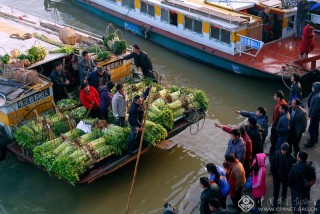 韦文荣-广西--赶早市-1-