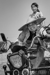 王莹-山东-麦收6-