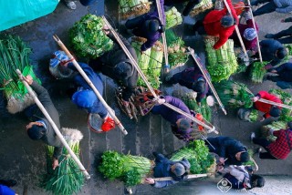 韦文荣-广西--赶早市-3-