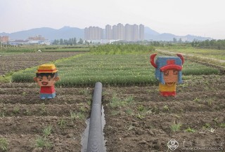 浙江—徐乐---快乐田园2