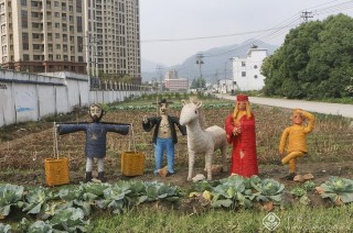 浙江—徐乐--快乐田园1