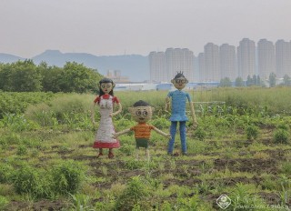 浙江—徐乐---快乐田园6