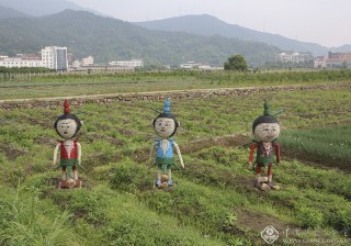 浙江—徐乐---快乐田园3