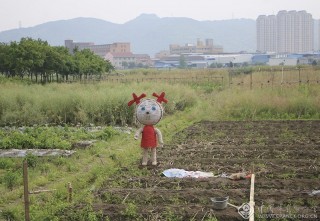 浙江—徐乐---快乐田园5