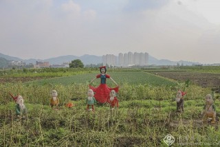 浙江—徐乐---快乐田园4