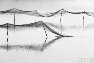 浙江-郑高海--渔塘写意4